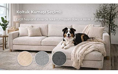 Koltuk Kumaşı Seçimi: Evcil hayvanlı evlerde leke tutmayan doku + renk önerileri